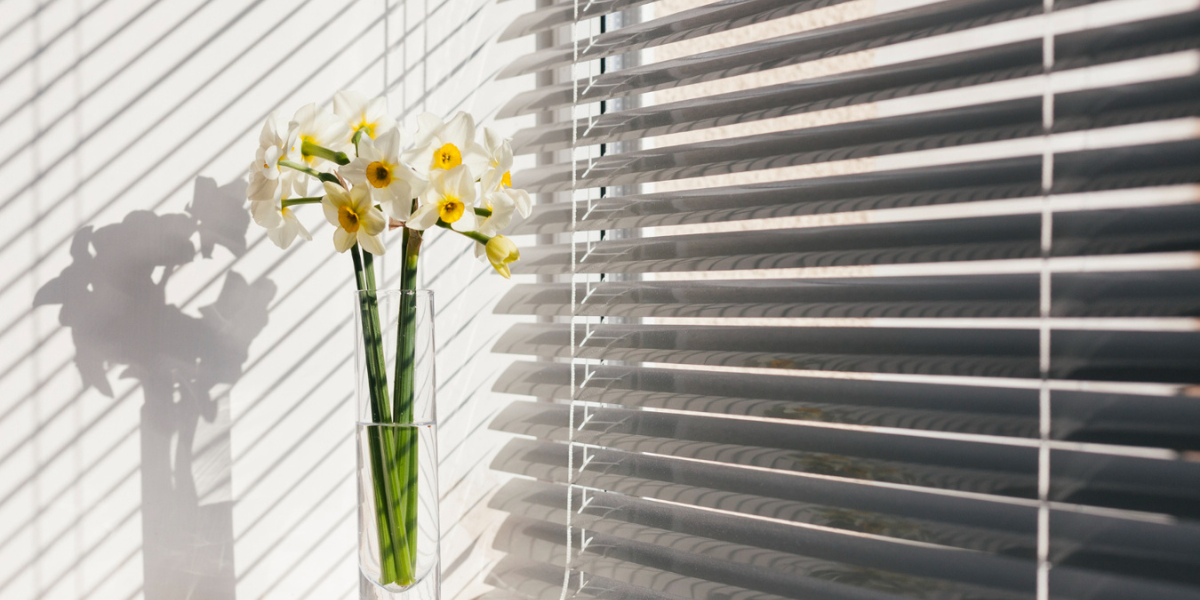 Choose Energy-Efficient Window Blinds for Canadian Winters