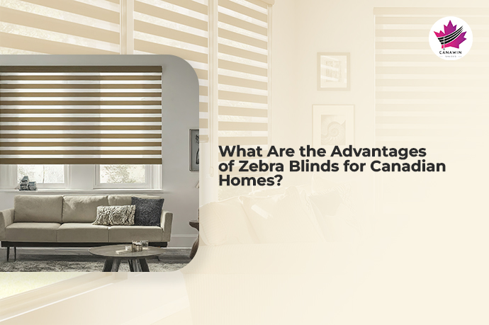 Advantages of Zebra Blinds for Canadian Homes Guide Canawin