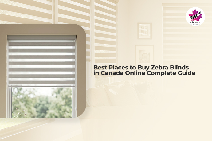Best Places to Buy Zebra Blinds in Canada Online Complete Guide